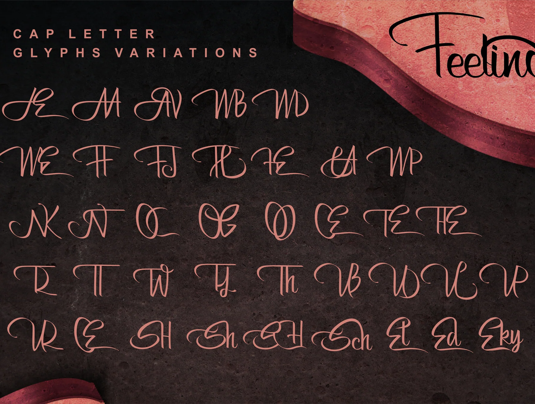 Bertha Script 7