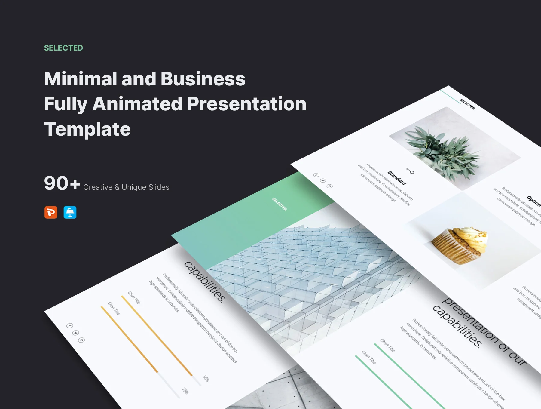 SELECTED - Minimal Presentation Template