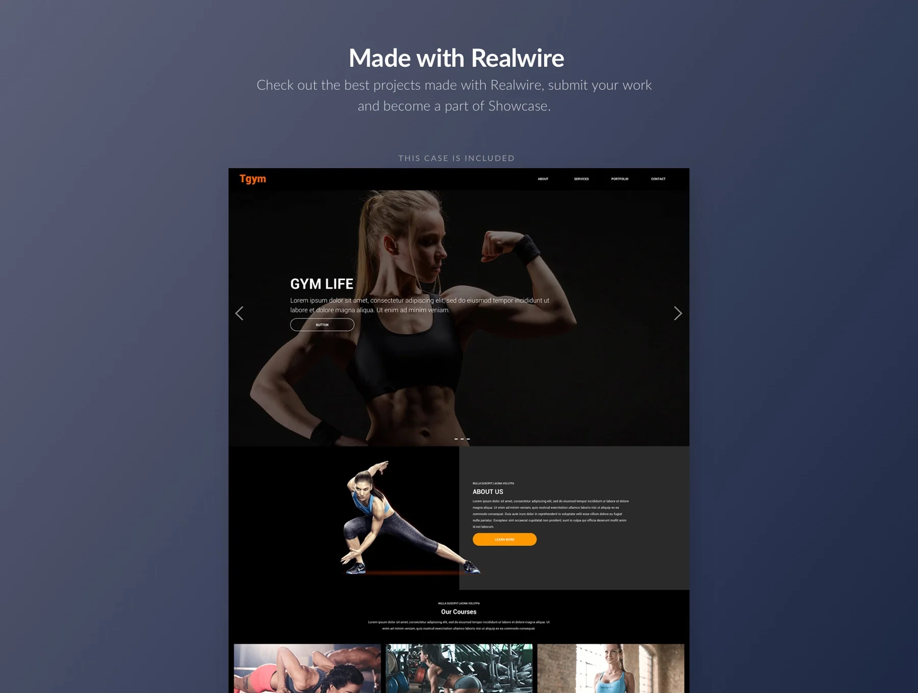SETWIRE - WIREFRAME SYSTEM 2