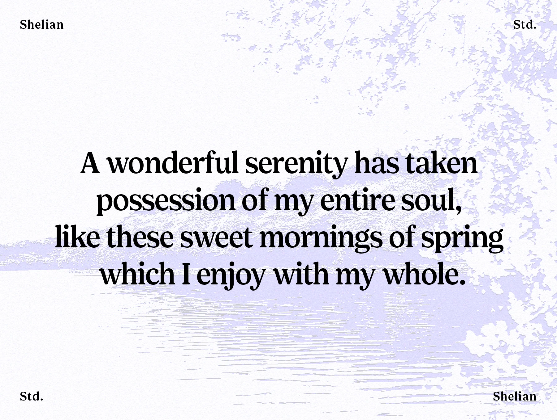 Shelian Typeface 12