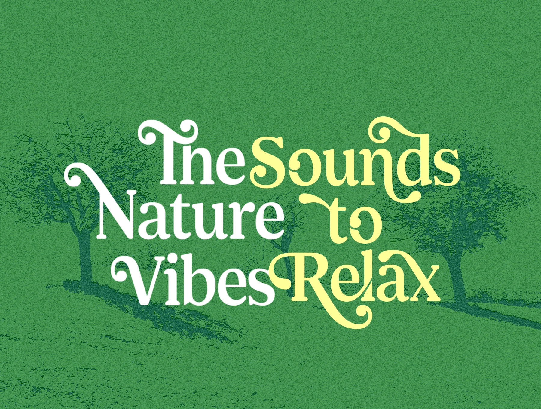 Shelian Typeface 6