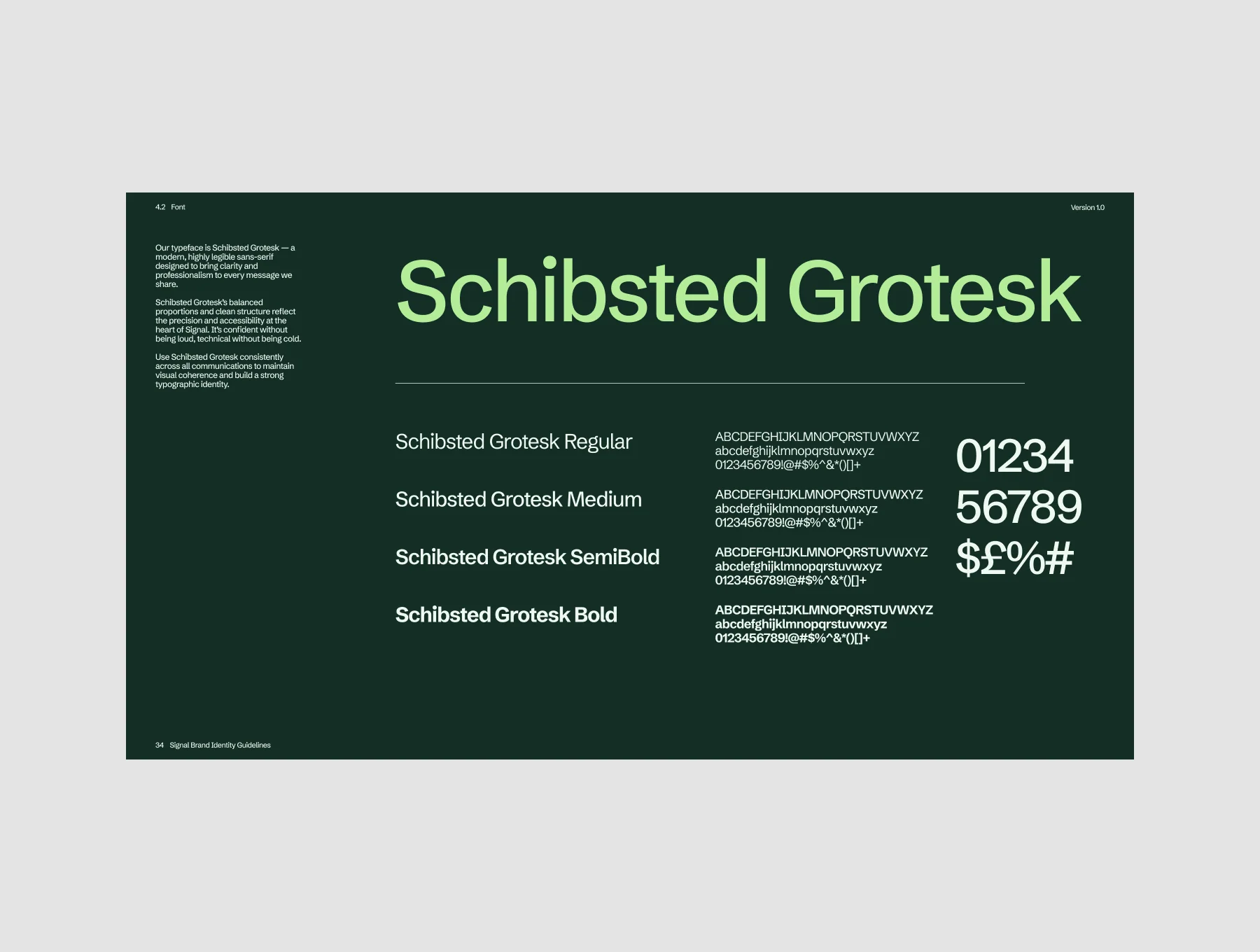 Signal Brand Guideline Template 8