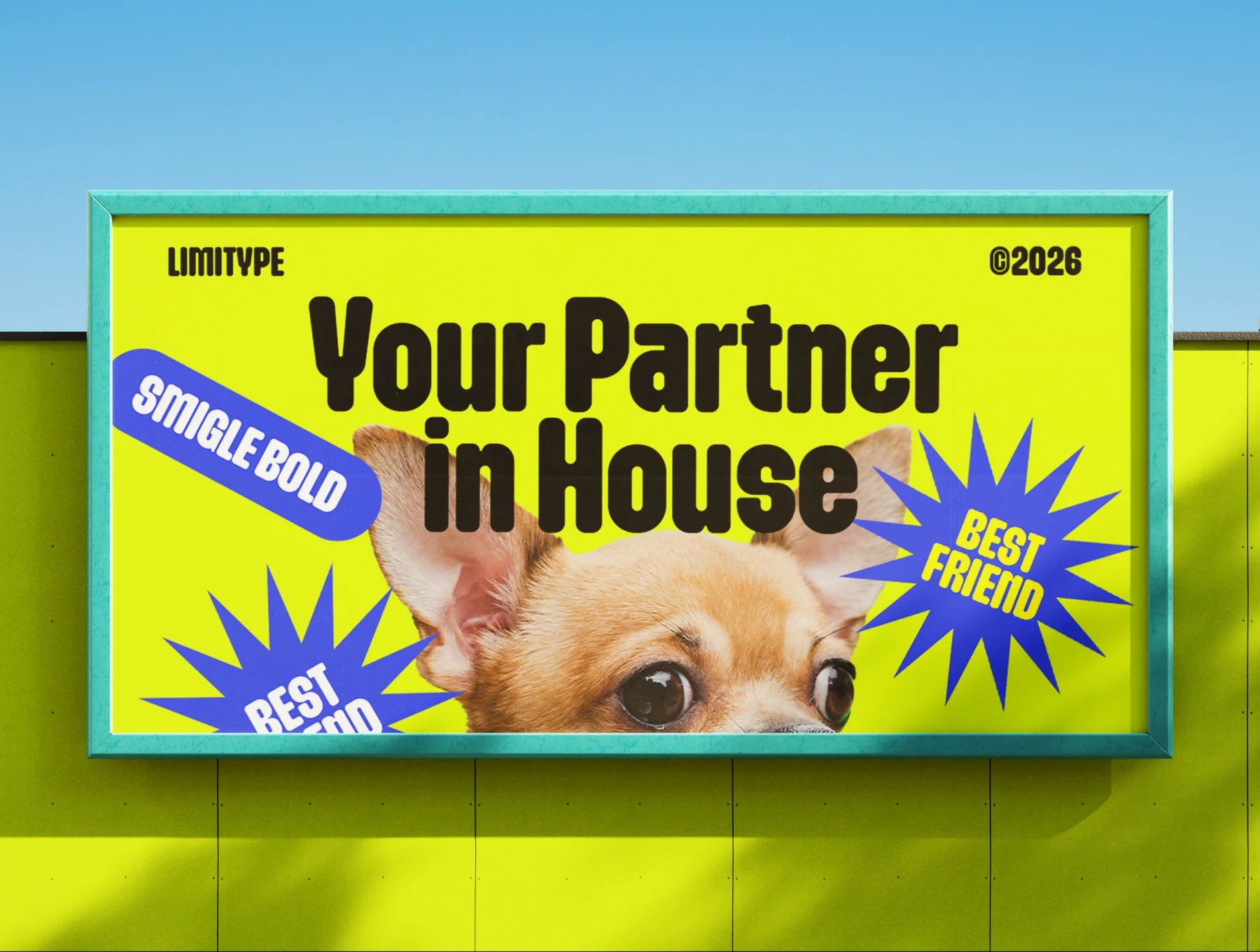 Smigle 10