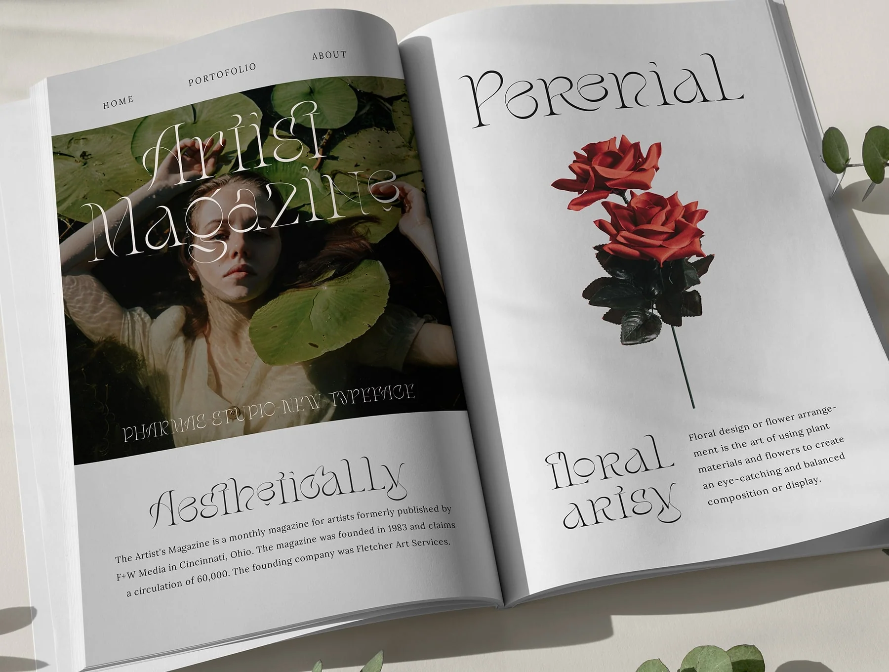 Stager - Unique Classy Serif 3