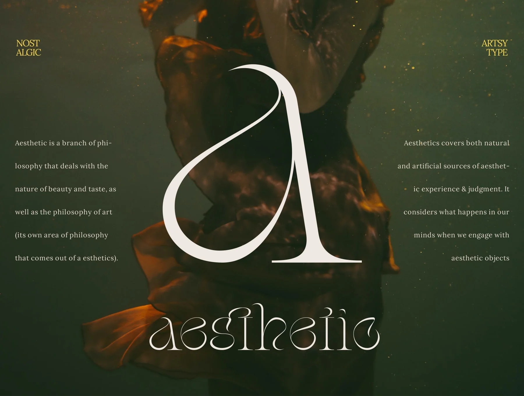 Stager - Unique Classy Serif 4