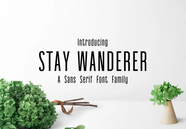 Stay Wanderer
