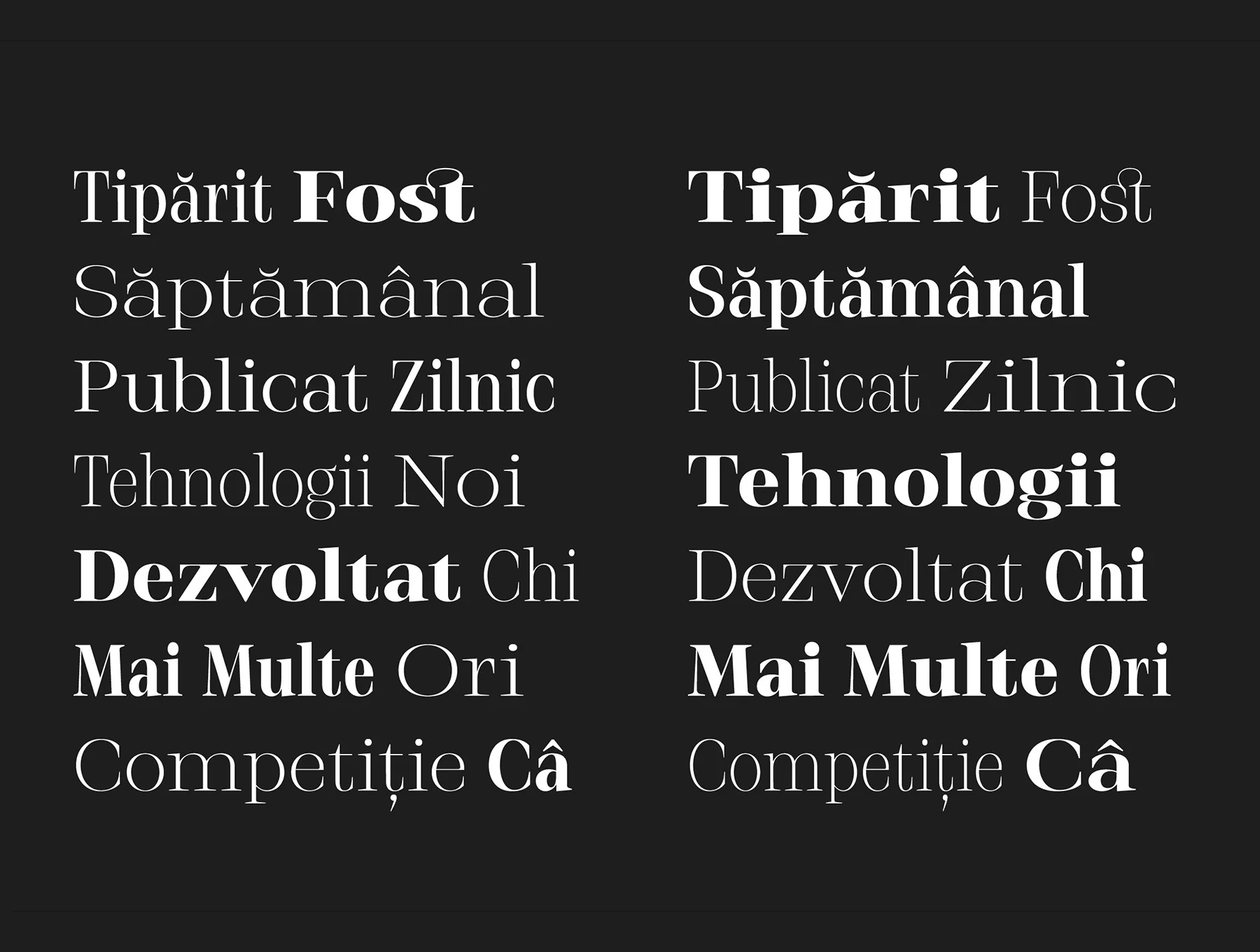 Stigsa Display Font Family 15
