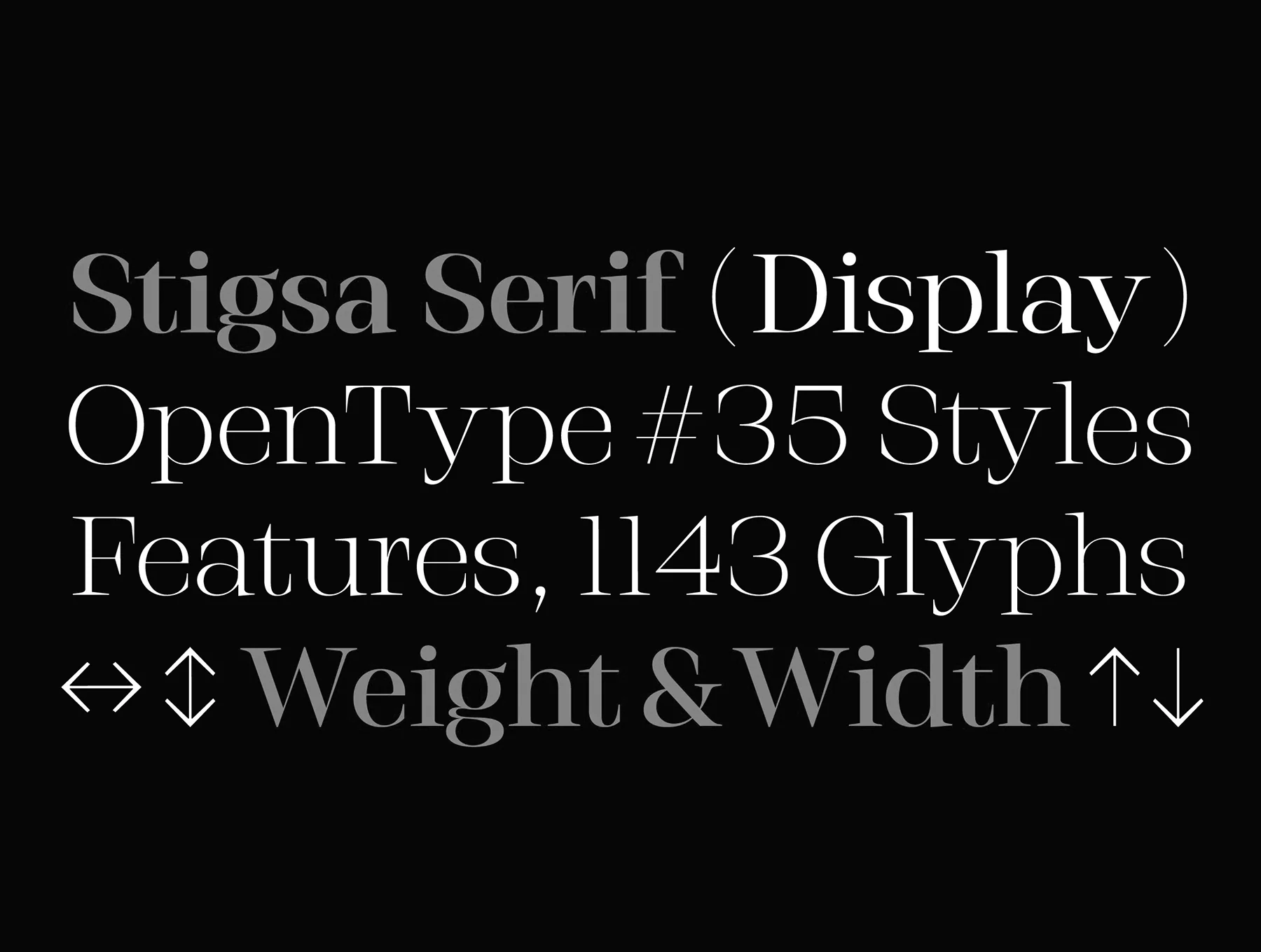 Stigsa Display Font Family 2