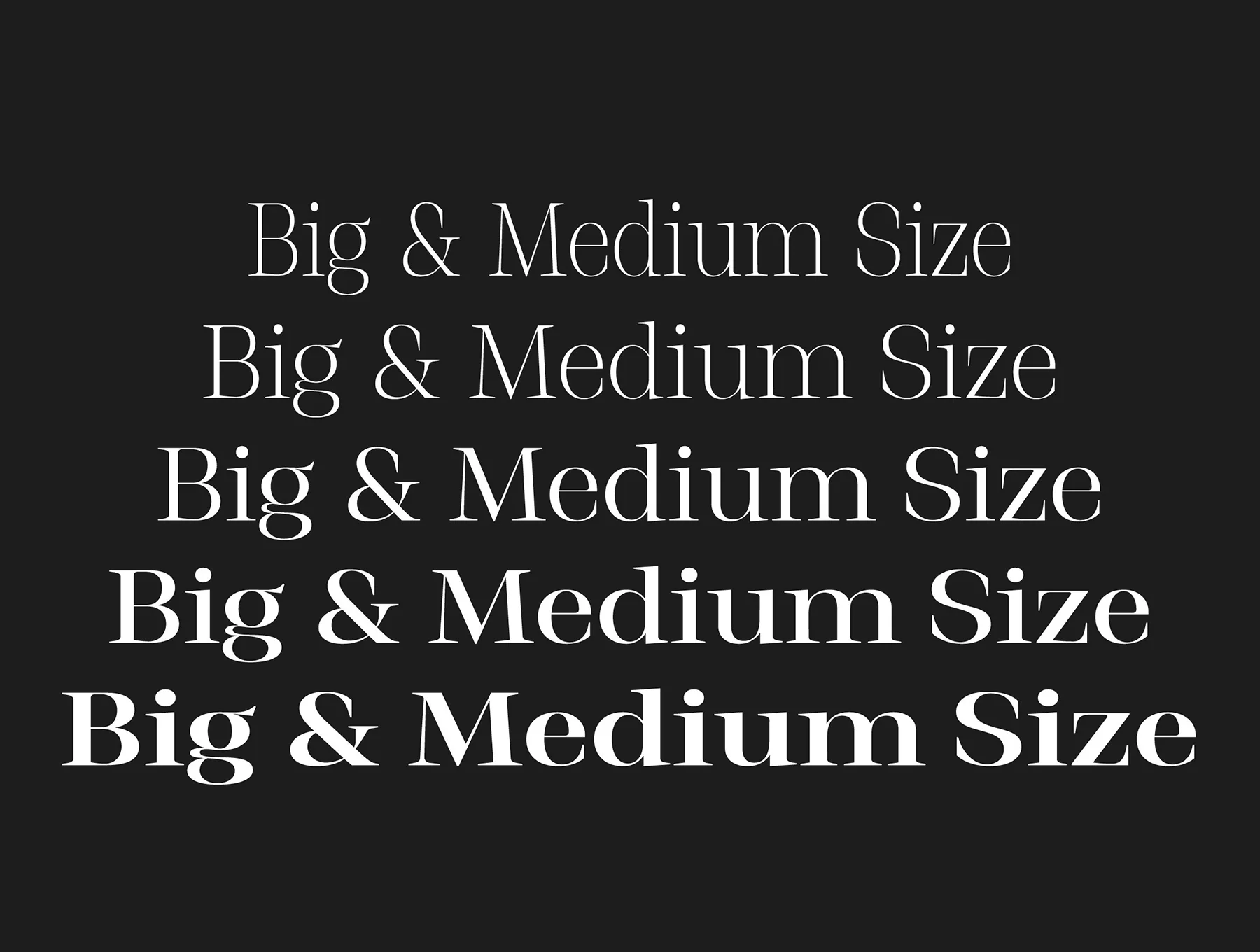Stigsa Display Font Family 6