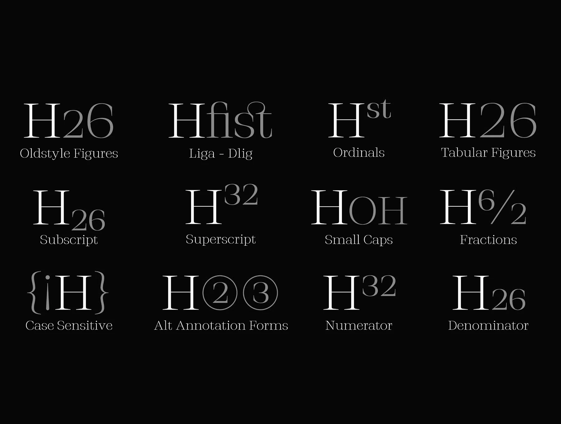 Stigsa Display Font Family 7