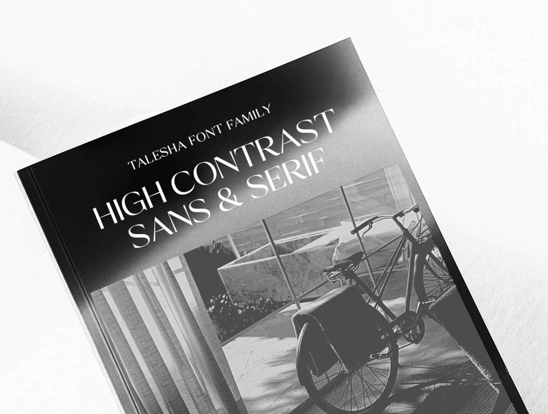 Talesha Font Family 11