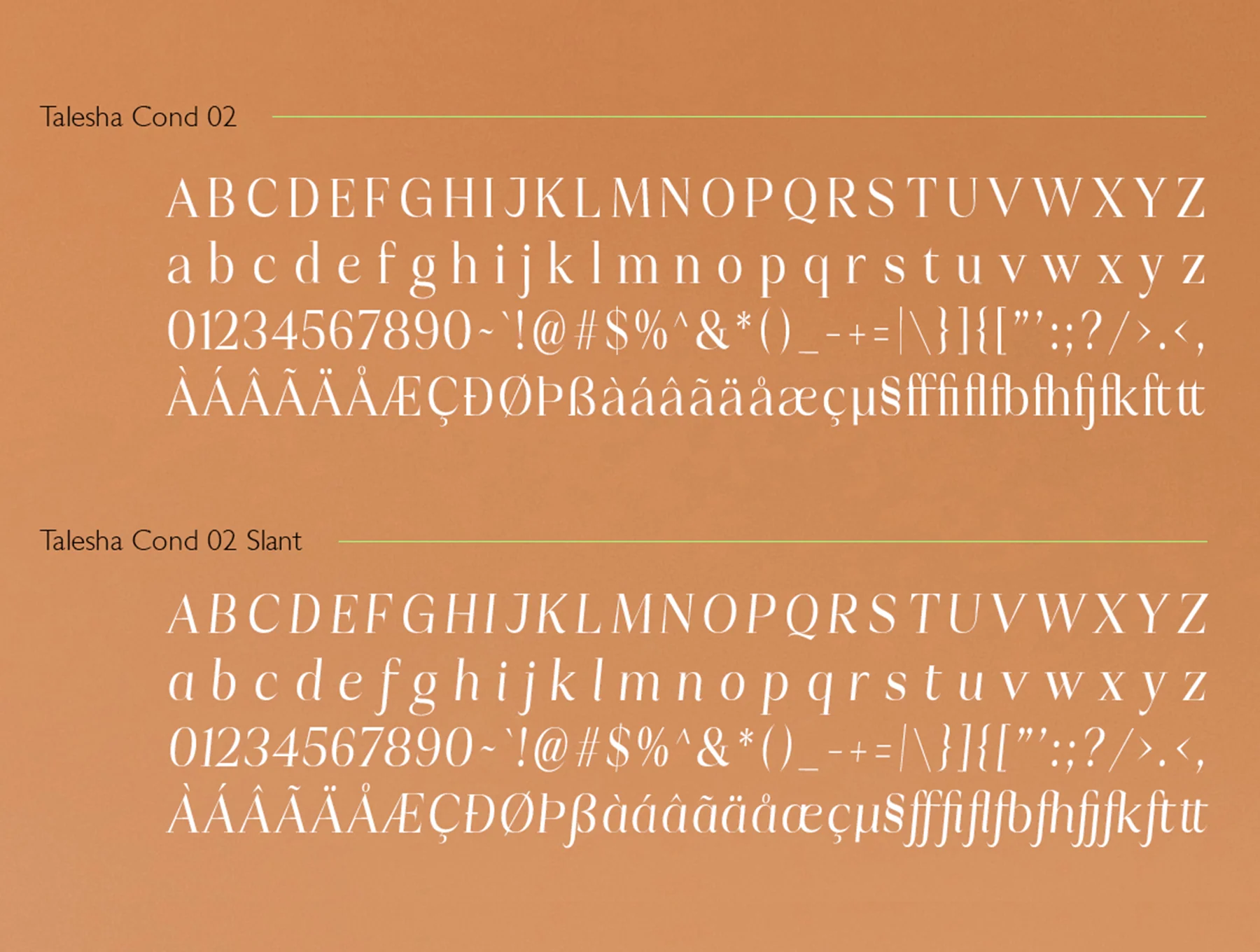 Talesha Font Family 18