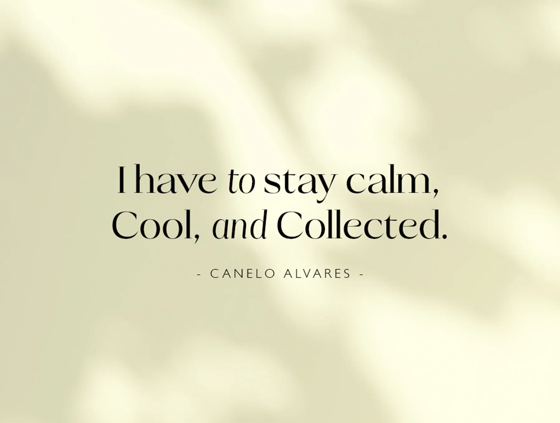 Talesha Font Family 5