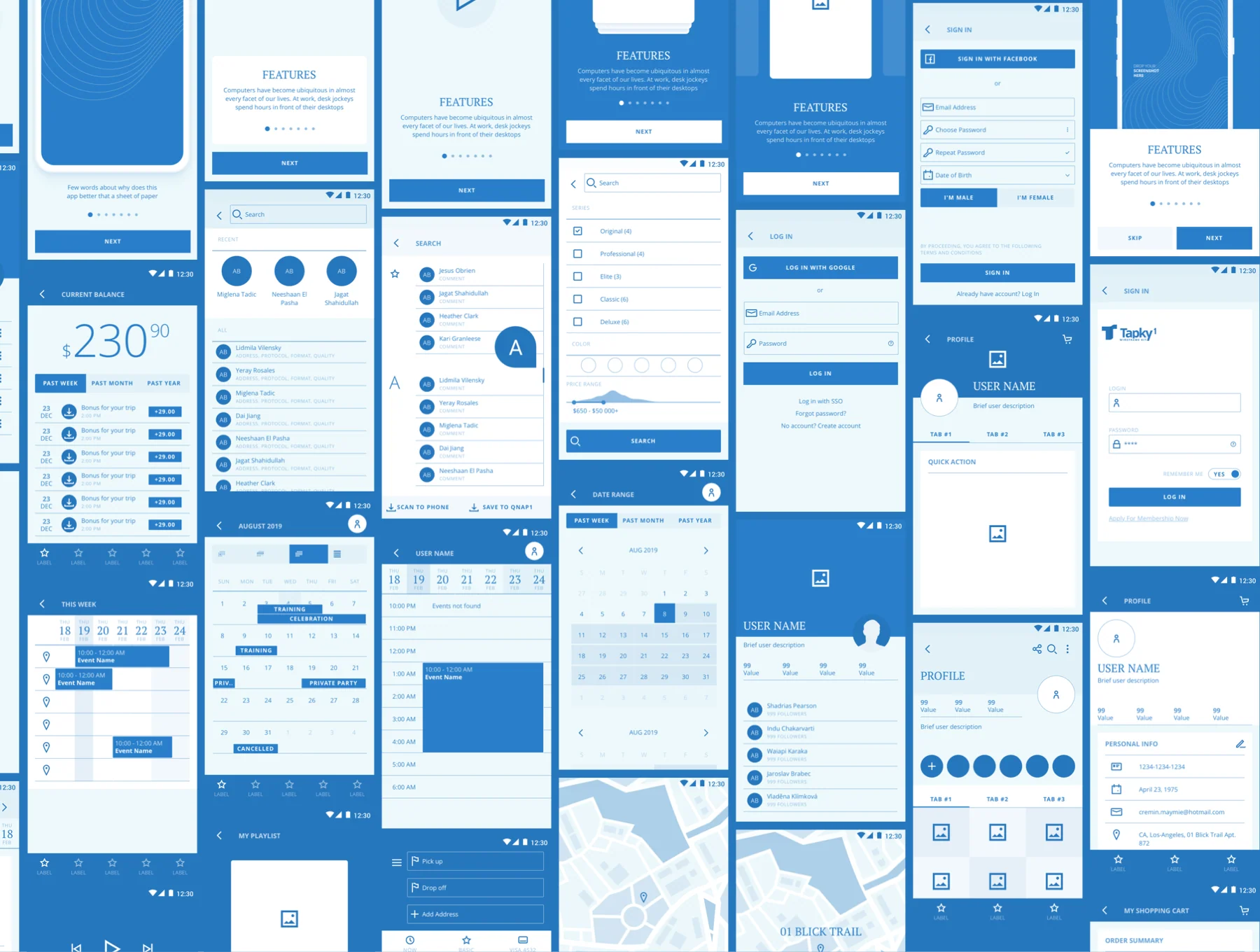 Tapky 1 Wireframe Kit 8