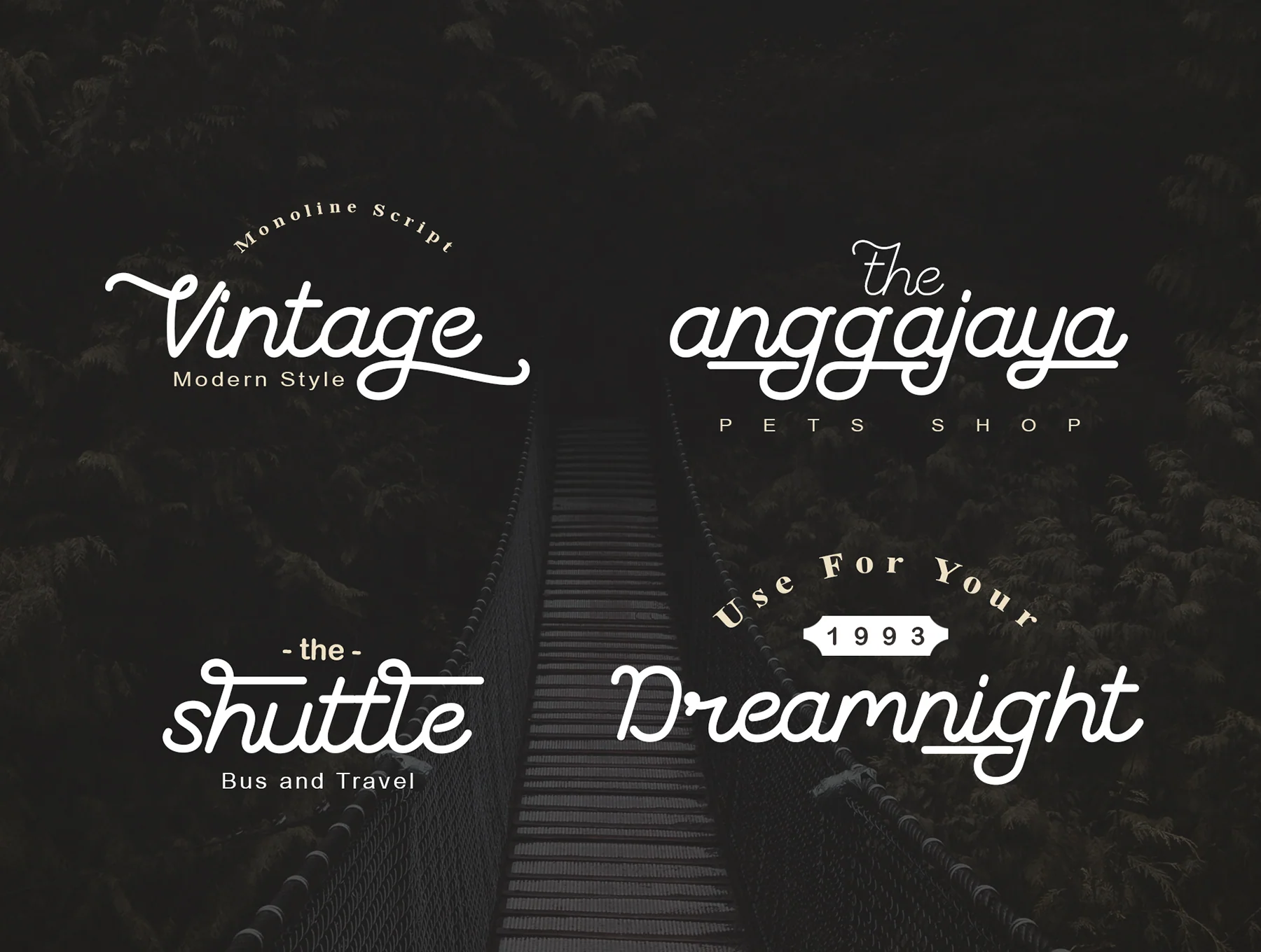 The Coventysh – Monoline Script Font 4