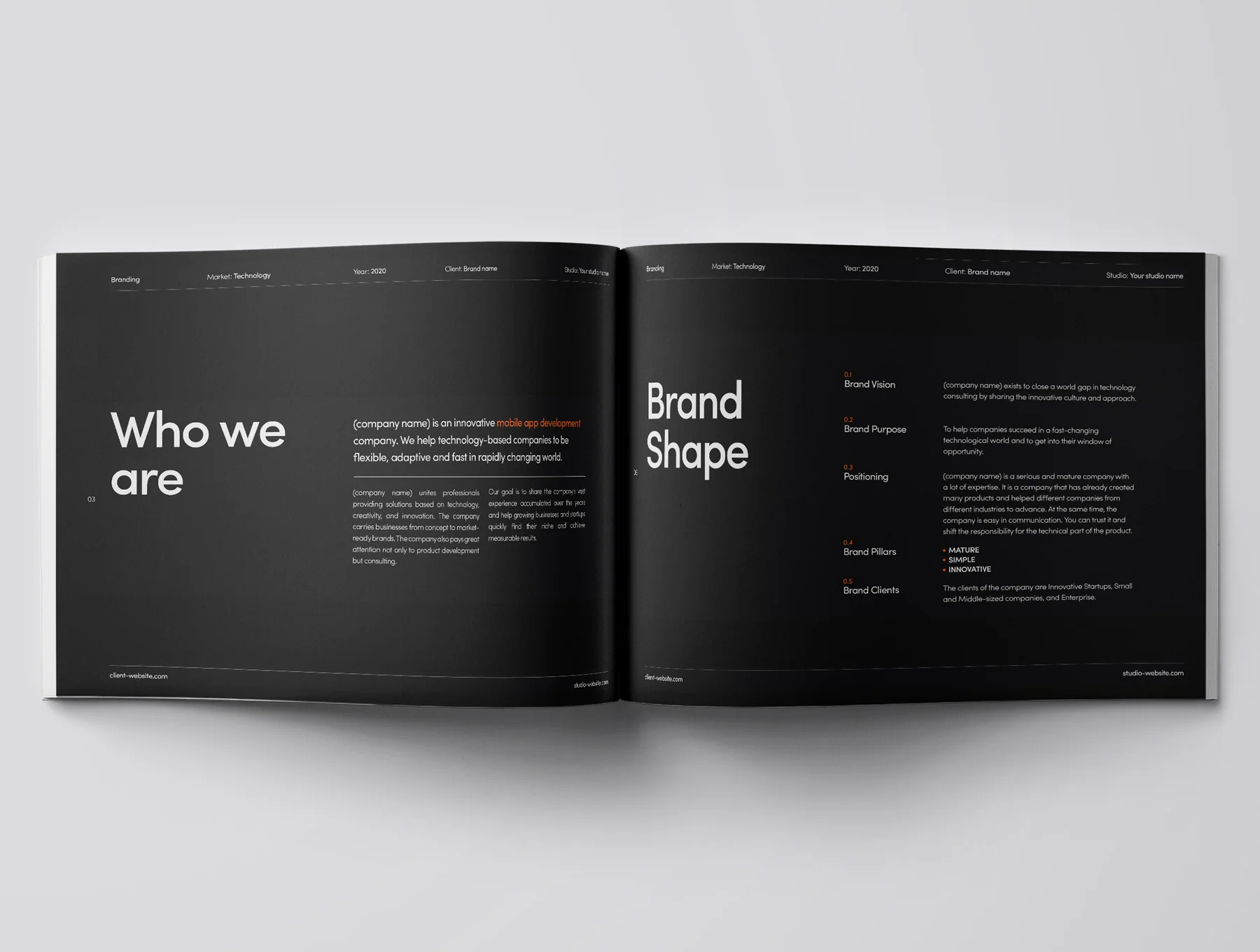 The Professional Style Guide Kit | InDesign Format 6