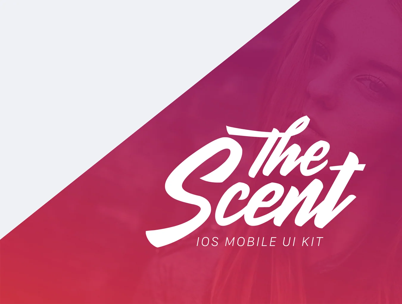 The Scent 8