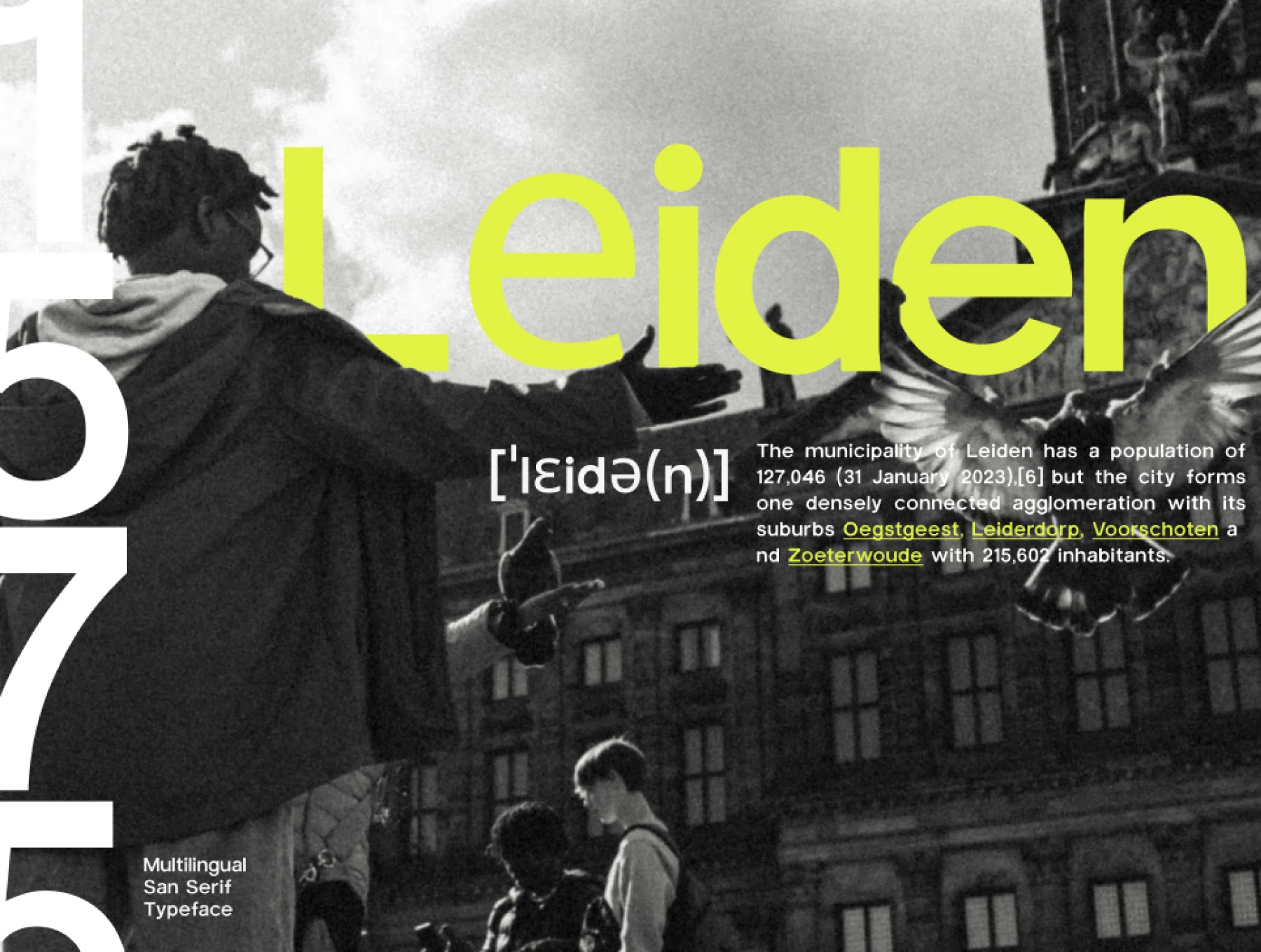TrigueSans Sans Serif Font 2