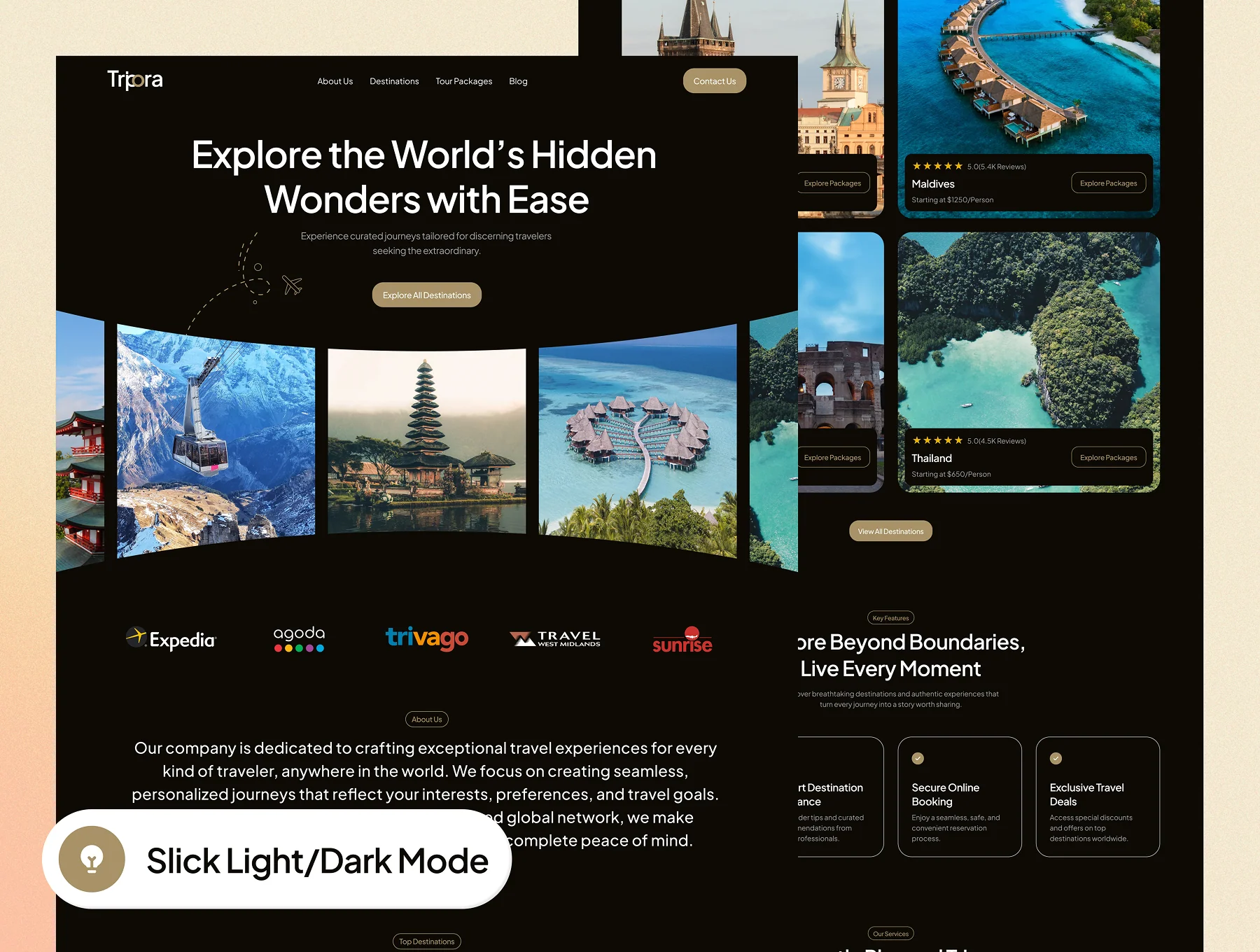 Tripora - Travel Agency Website UI Kit 8