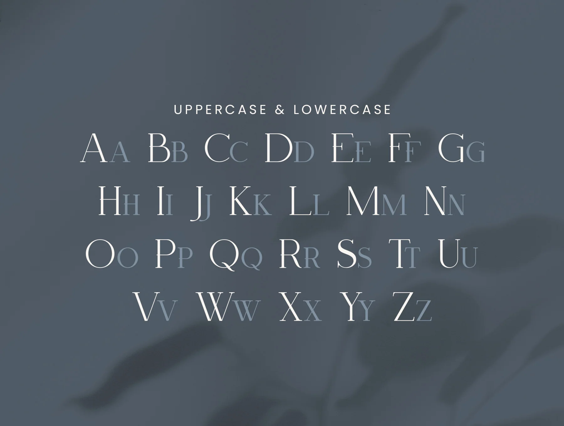 Twintale Serif 7