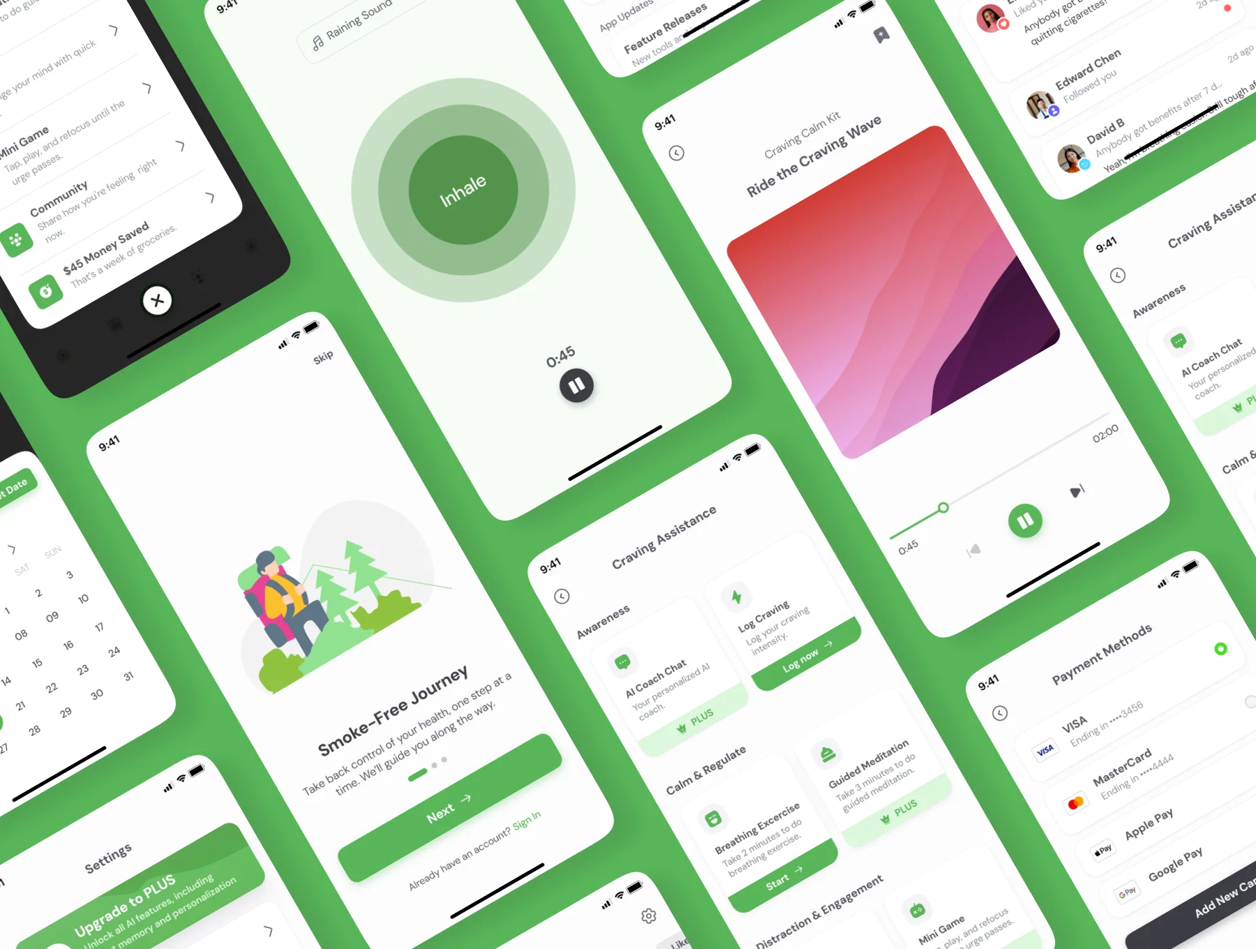 Unsmoke - Quit Smoking & Wellness Mobile UI Kit 4