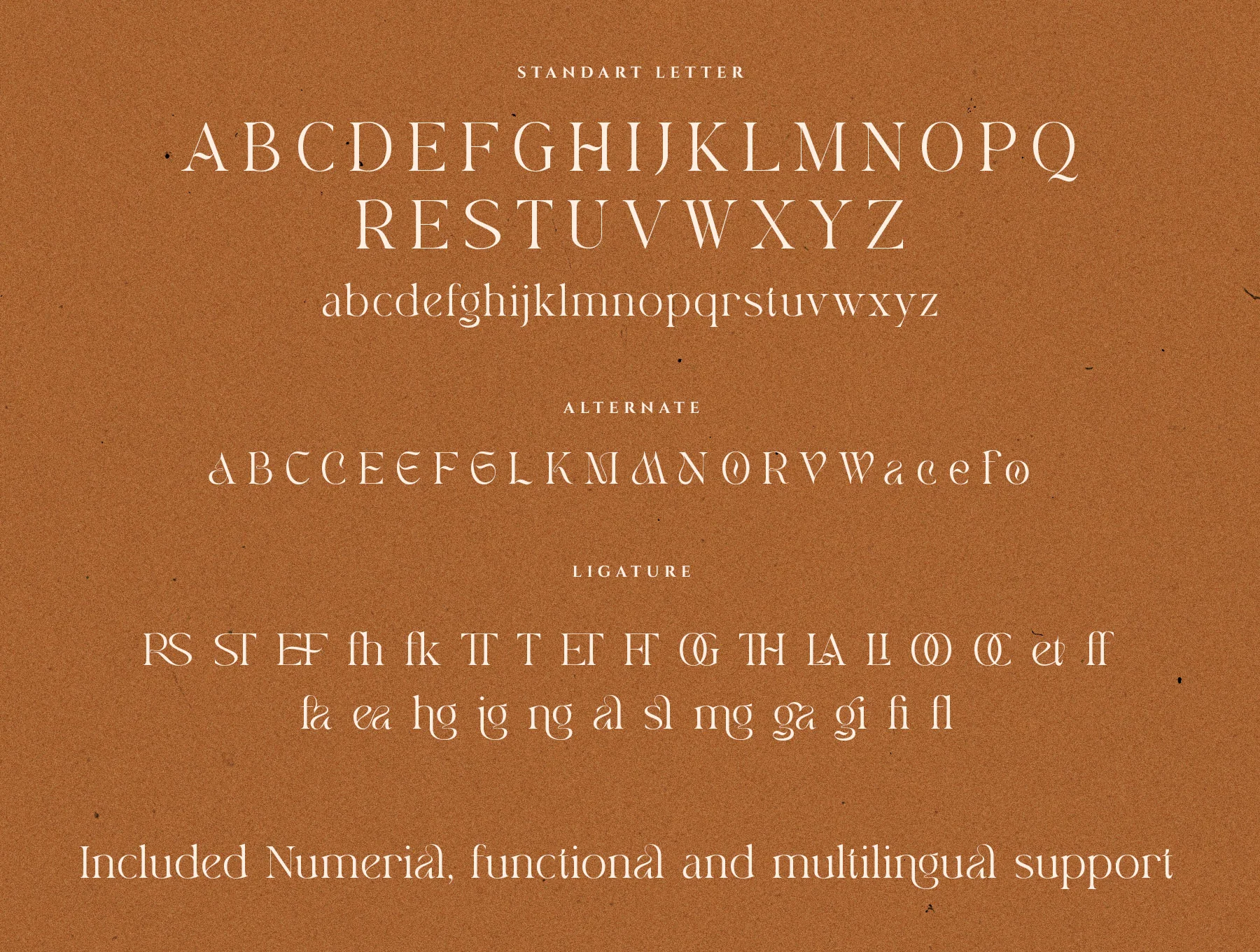 Valerie Angel Modern Serif Font 8