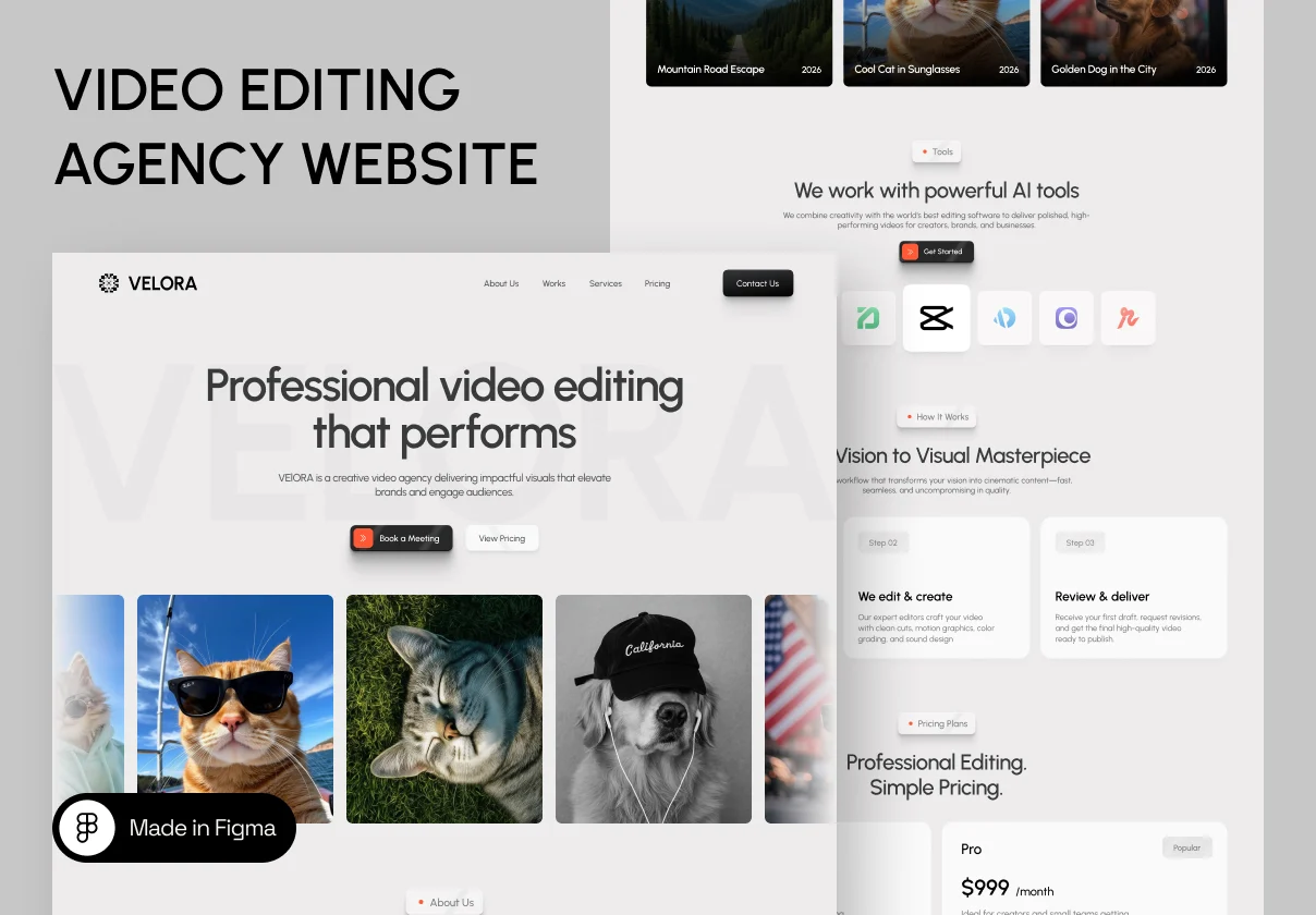 VELORA — Video Editing Agency Landing Page