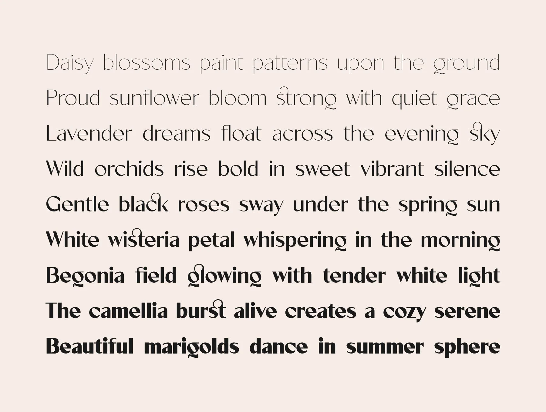 Velorina Font Family 6