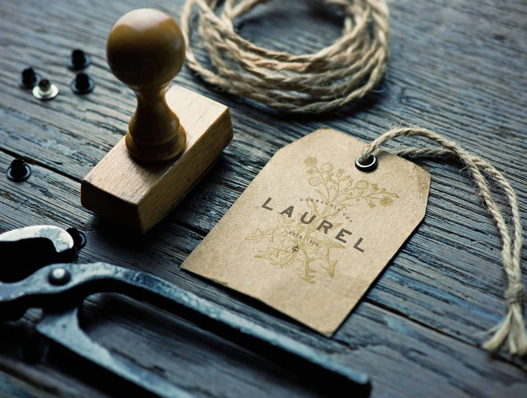 Vintage Logo Creator Kit – 20 Templates + Fonts + Illustrations 9