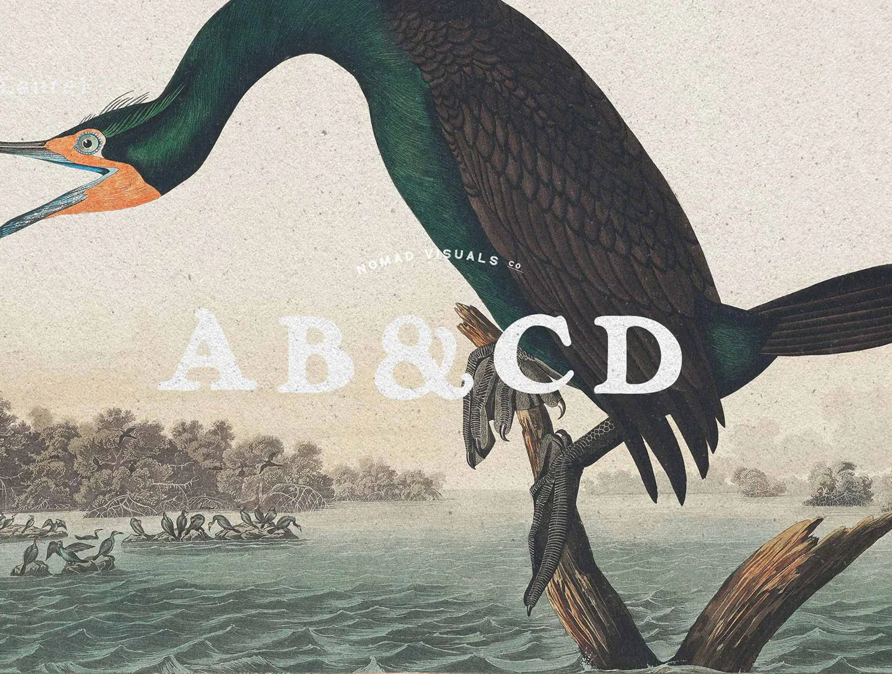 Vintage Logo Creator Kit – 20 Templates + Fonts + Illustrations 16