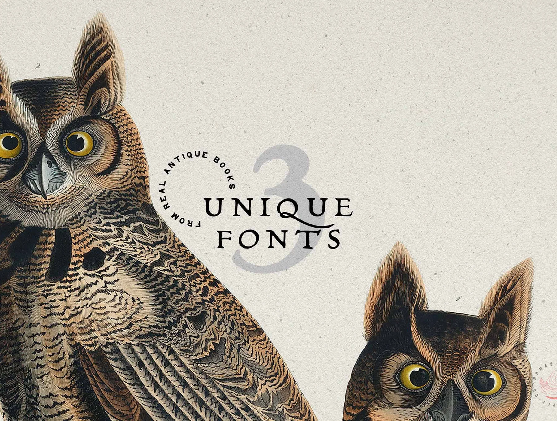 Vintage Logo Creator Kit – 20 Templates + Fonts + Illustrations 20