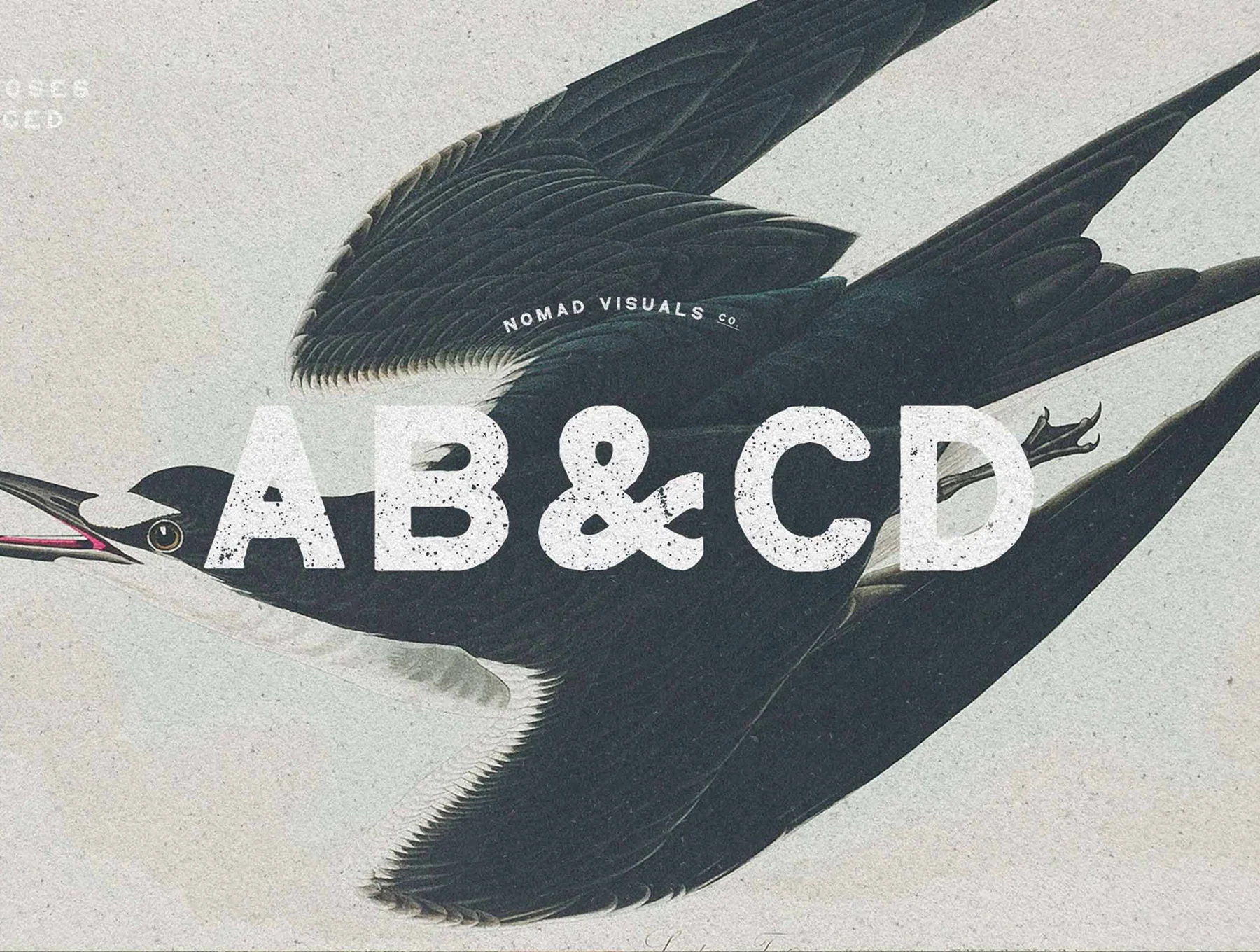 Vintage Logo Creator Kit – 20 Templates + Fonts + Illustrations 6