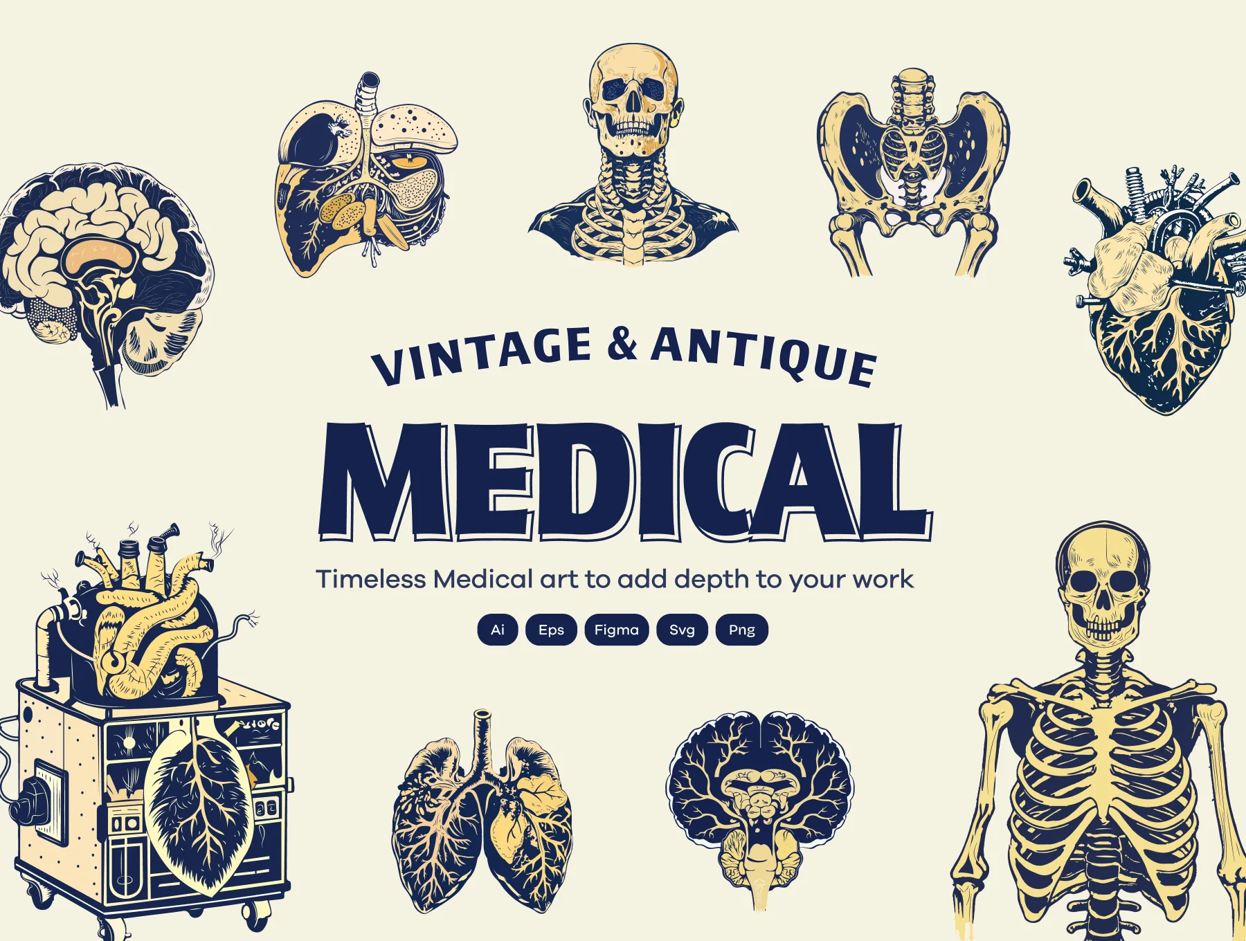 Vintage Medical illustrations