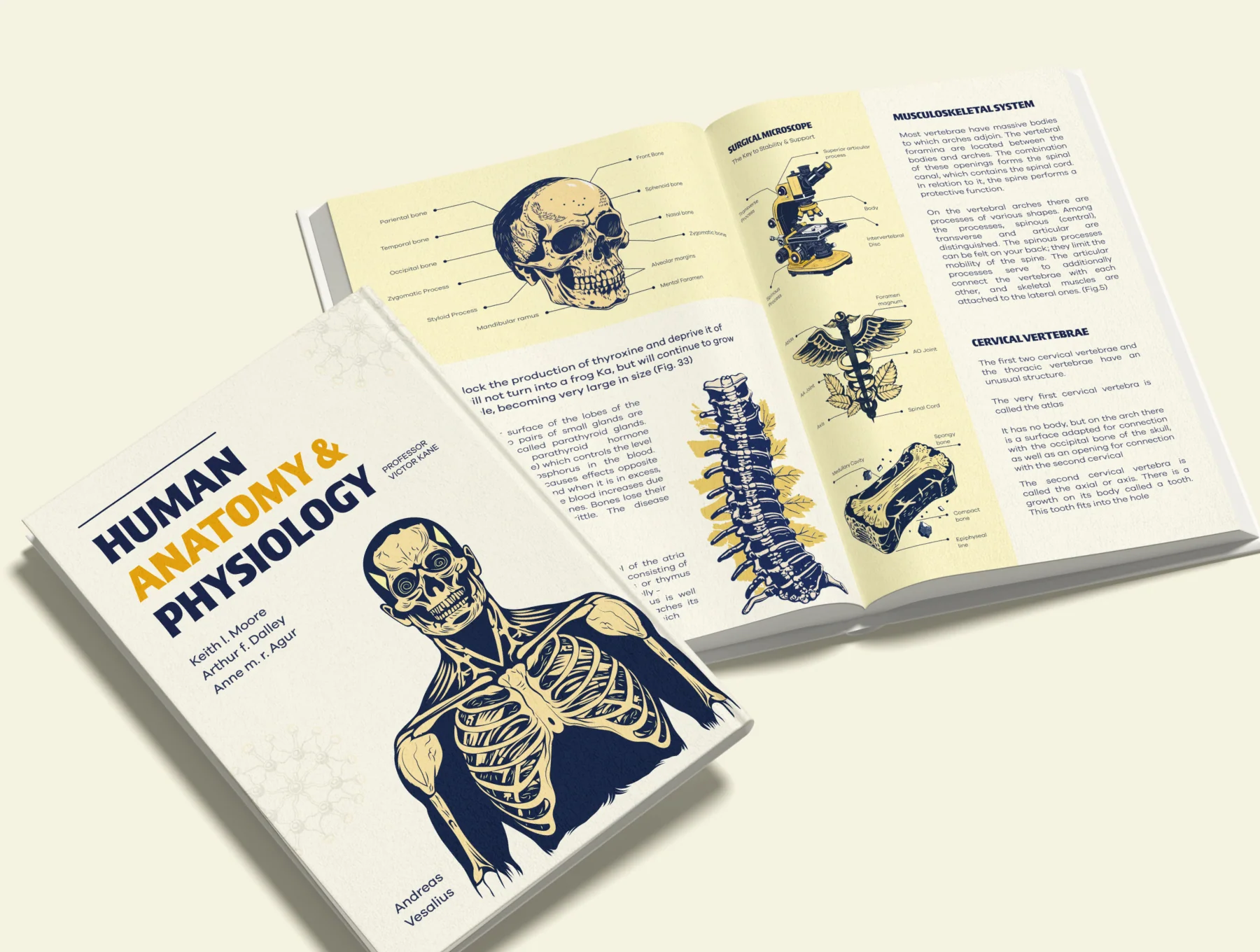 Vintage Medical illustrations 3