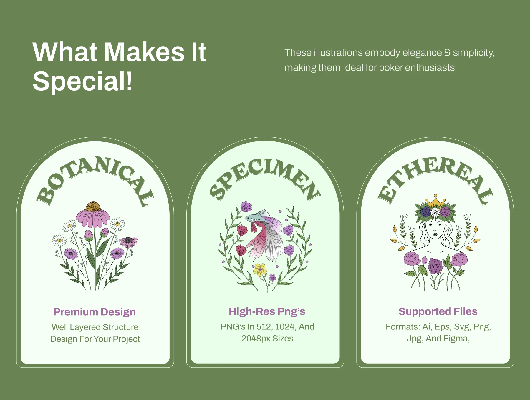 Vintage Nature Illustration Bundle 2