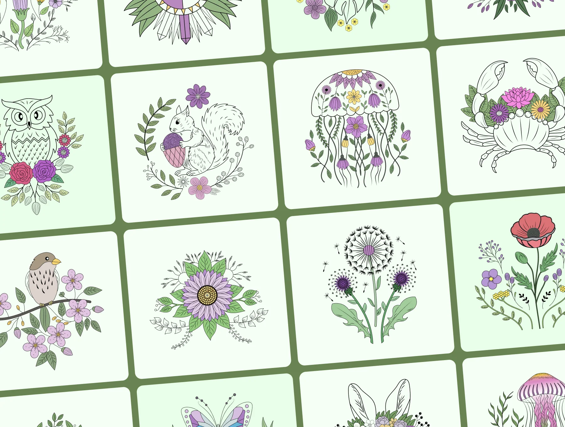 Vintage Nature Illustration Bundle 6