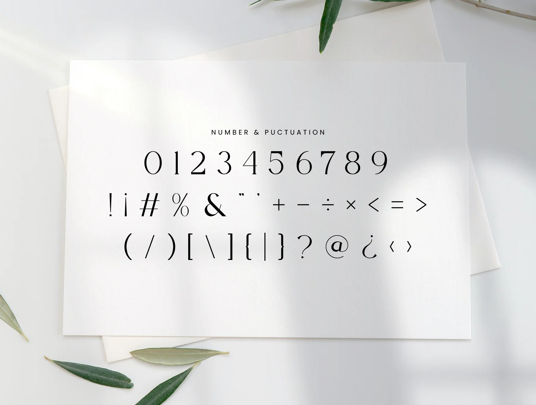 Viora Serif 12