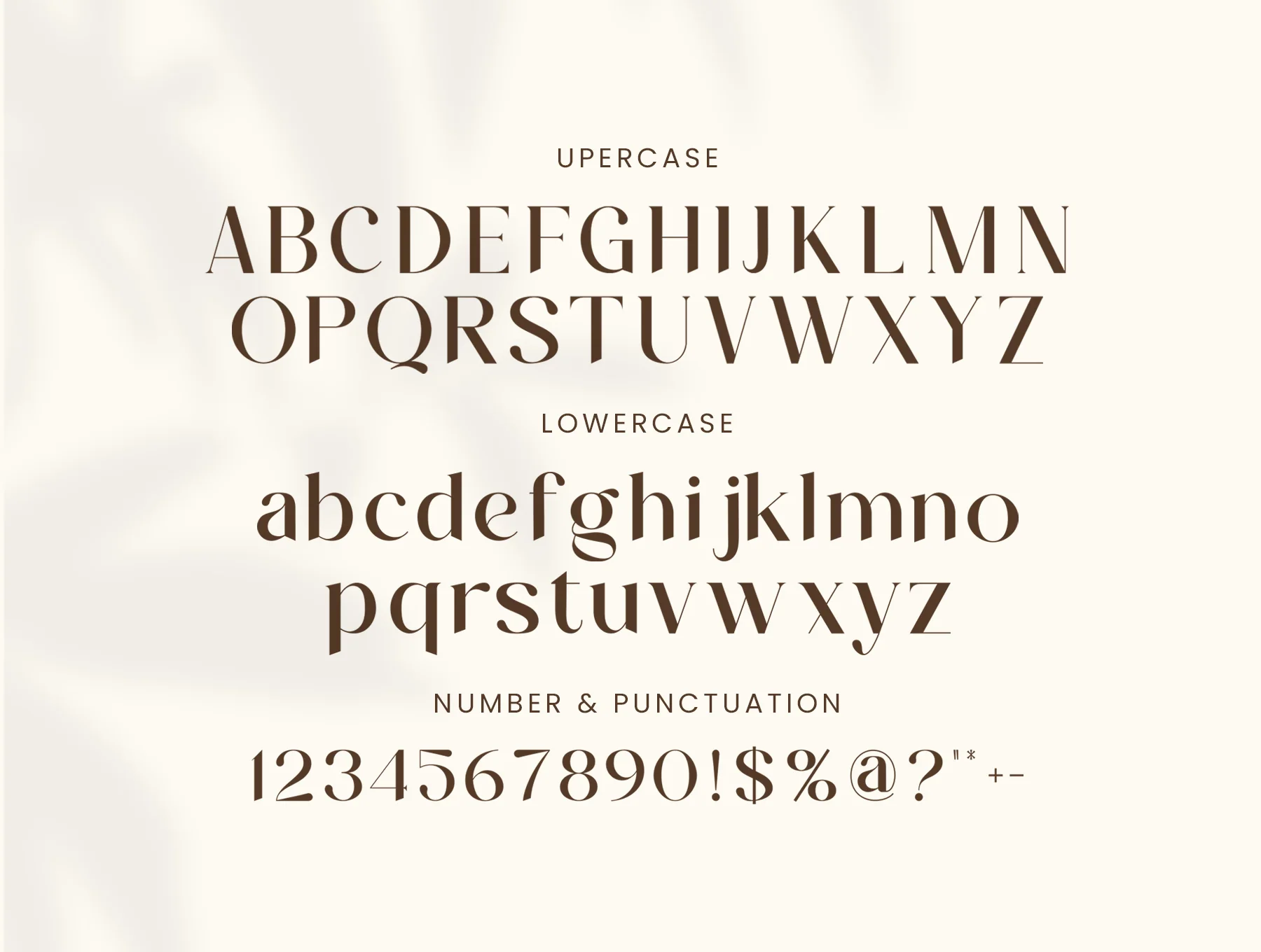 Vitage Serif 6