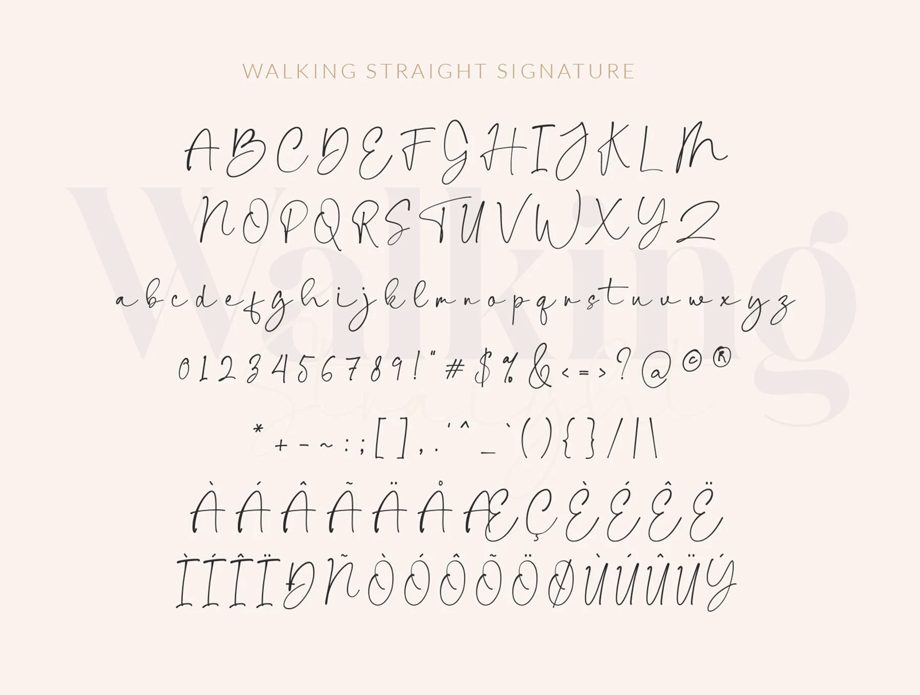walking Straight_font duo_serif and signature typeface 7