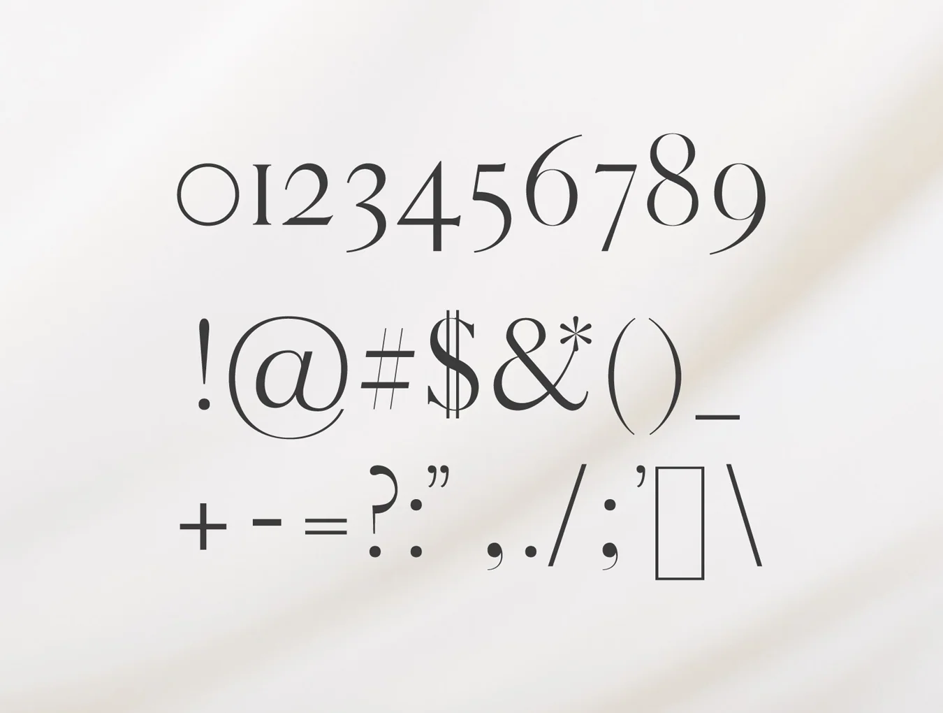 Warick Serif Font Family 3