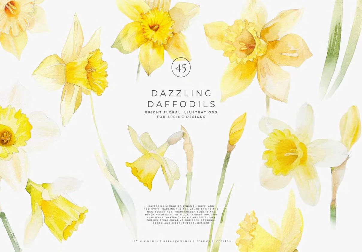 watercolor daffodil