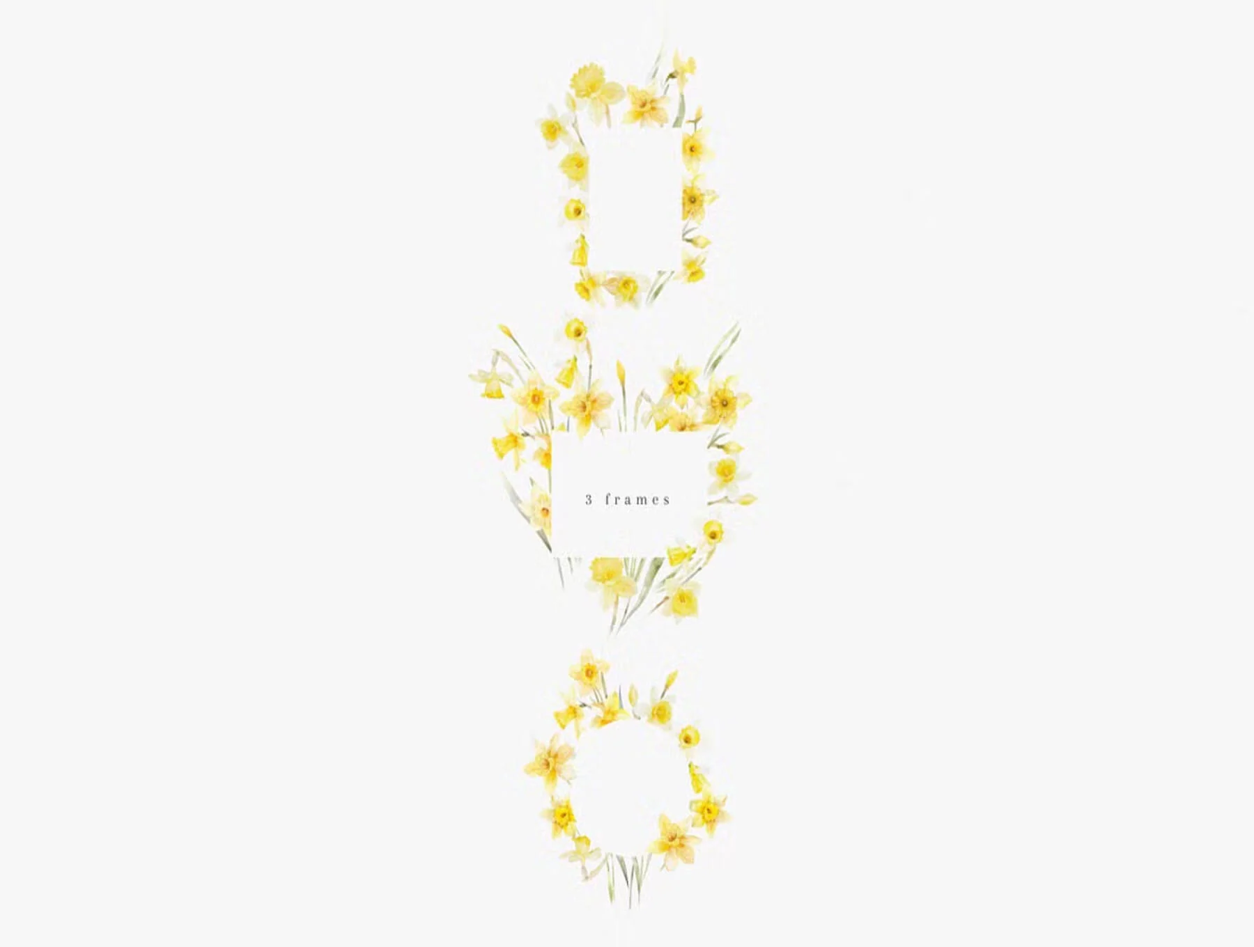 watercolor daffodil