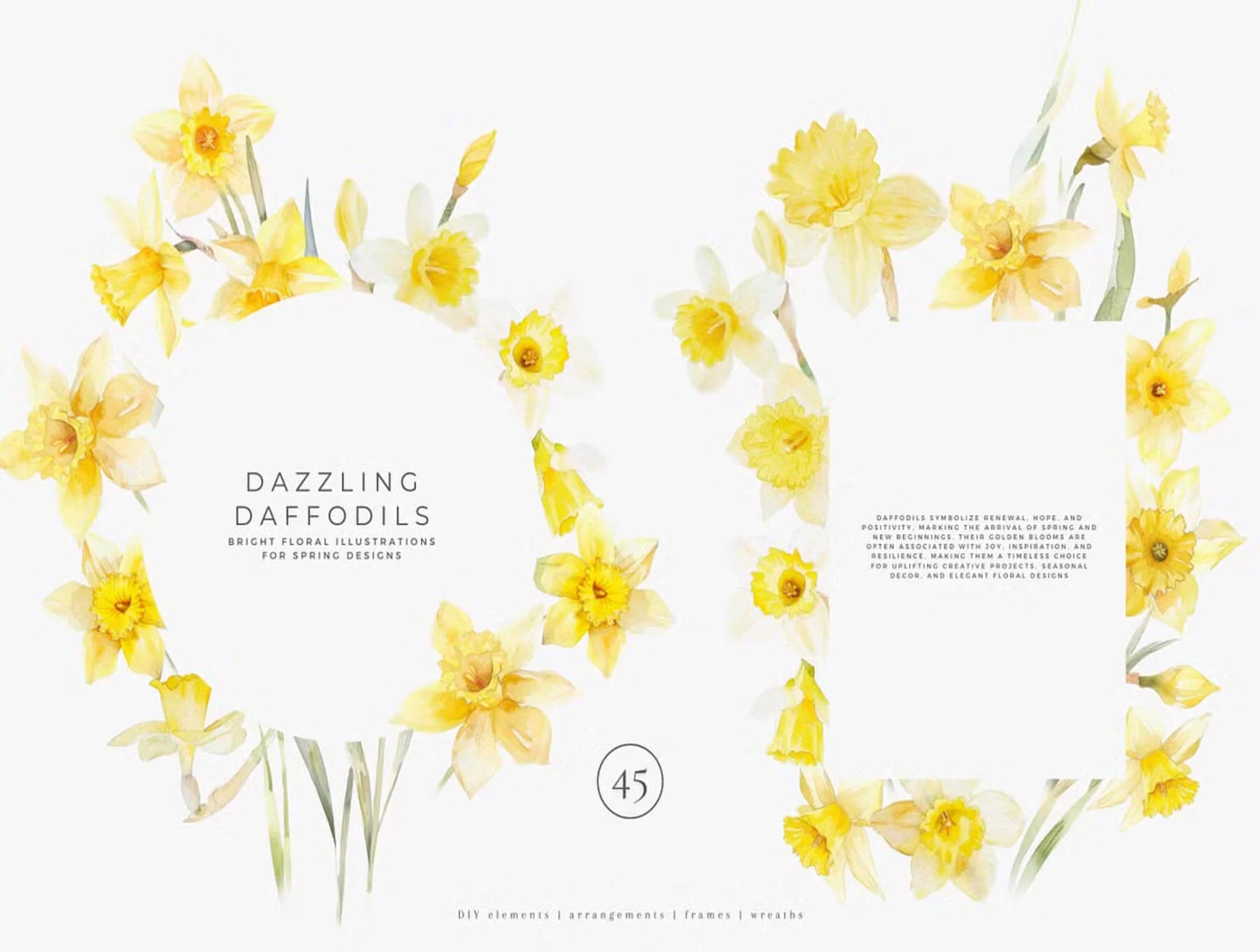 watercolor daffodil 3