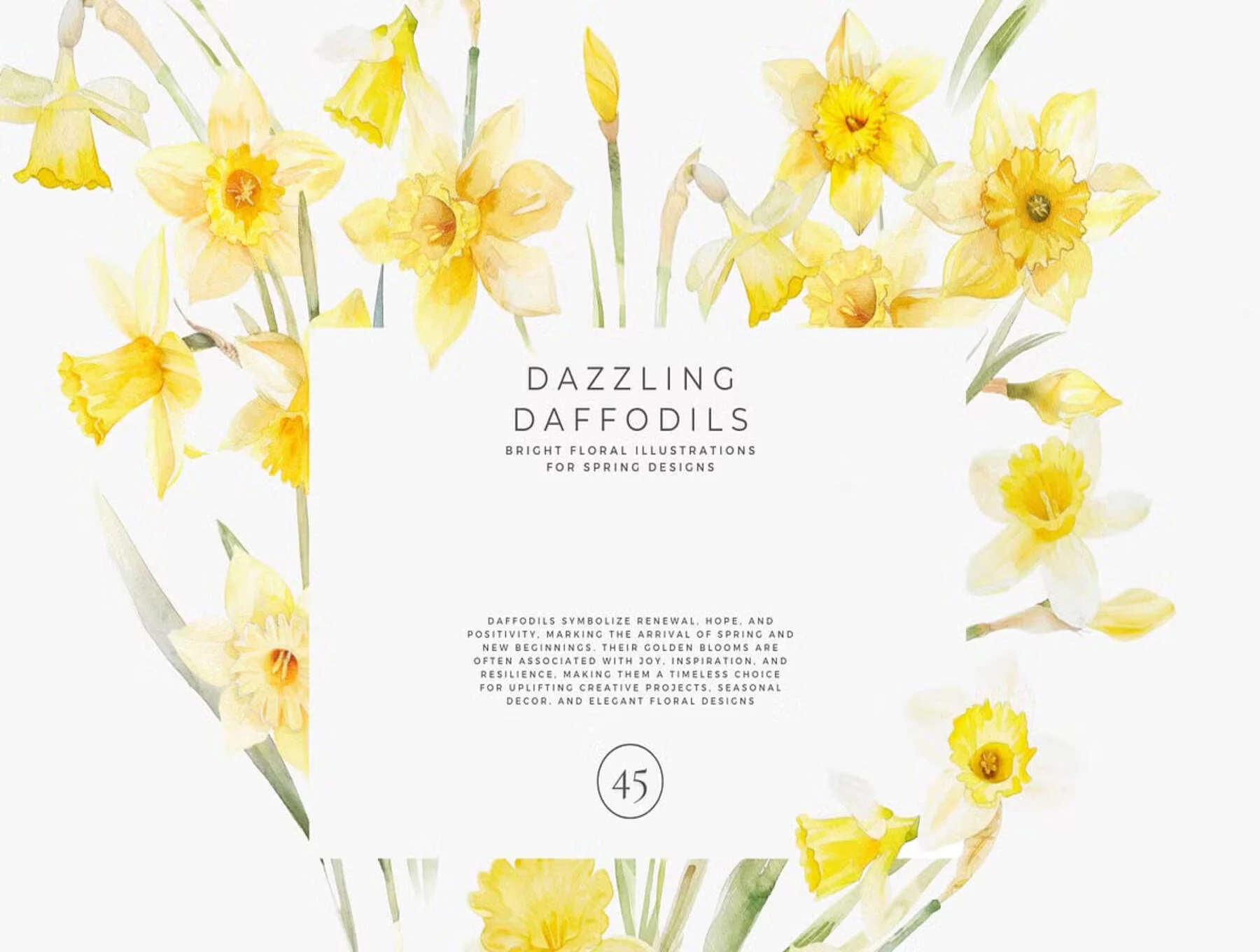 watercolor daffodil 4