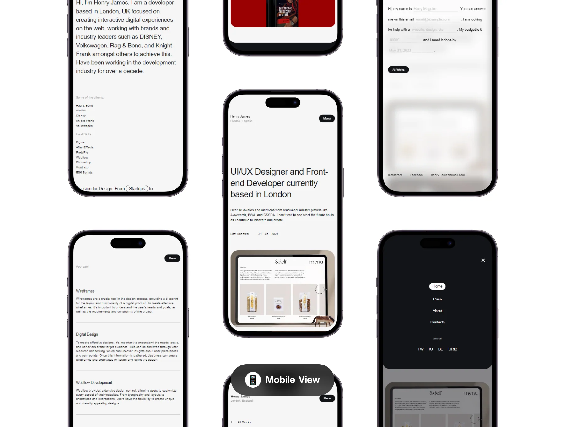 Web Designer & Developer Portfolio Coded Template 5