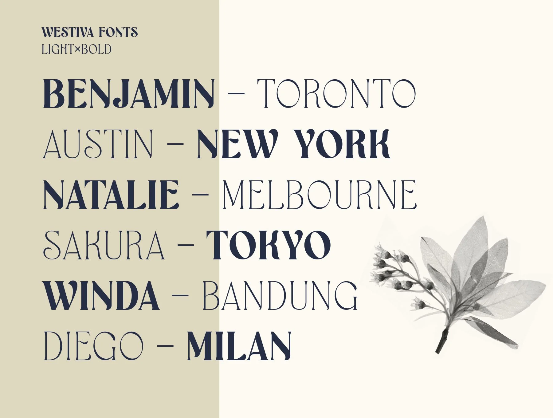 Westiva Fonts Family 3