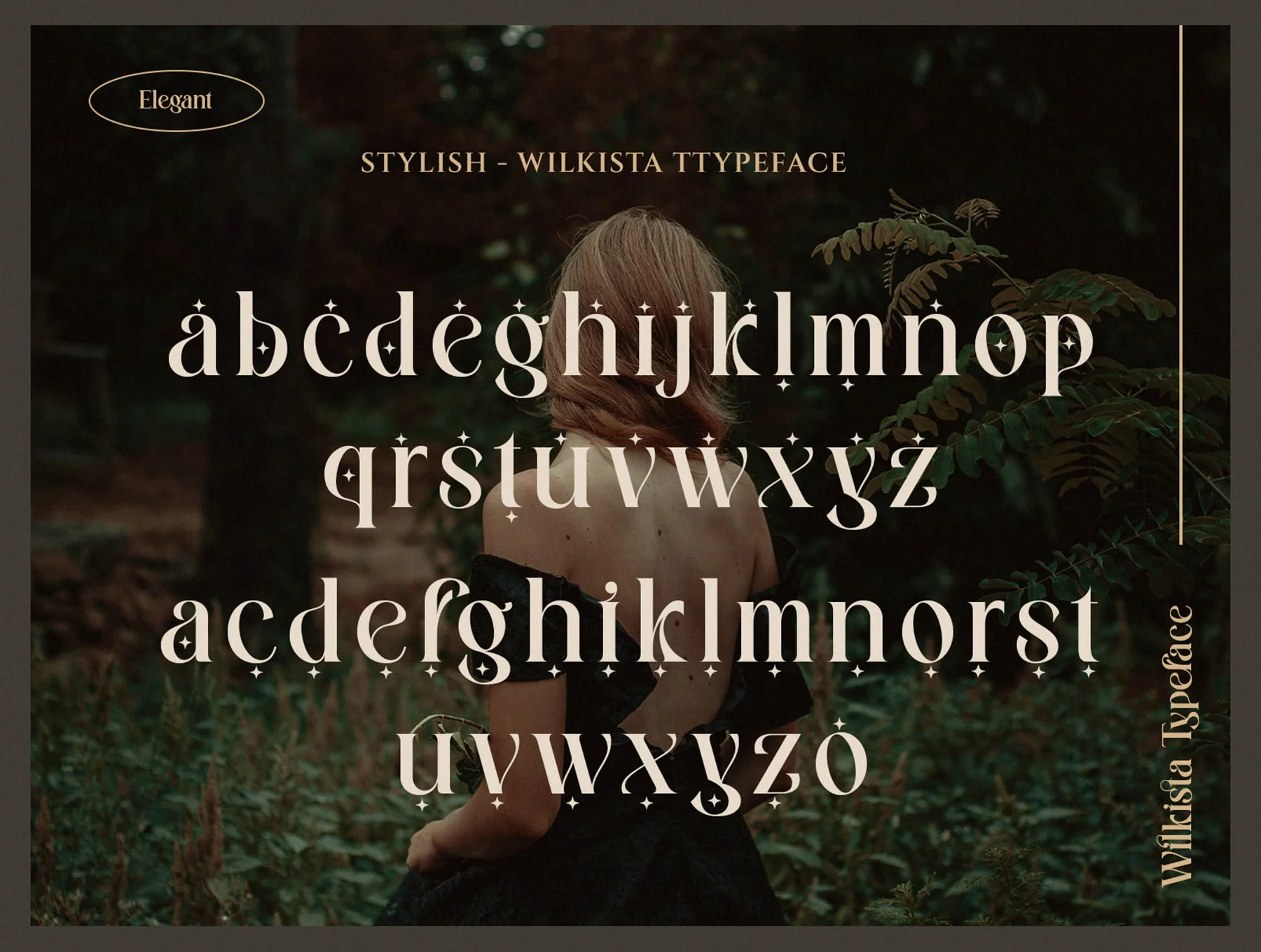 Wilkista - Stylish Ligature Typeface 12