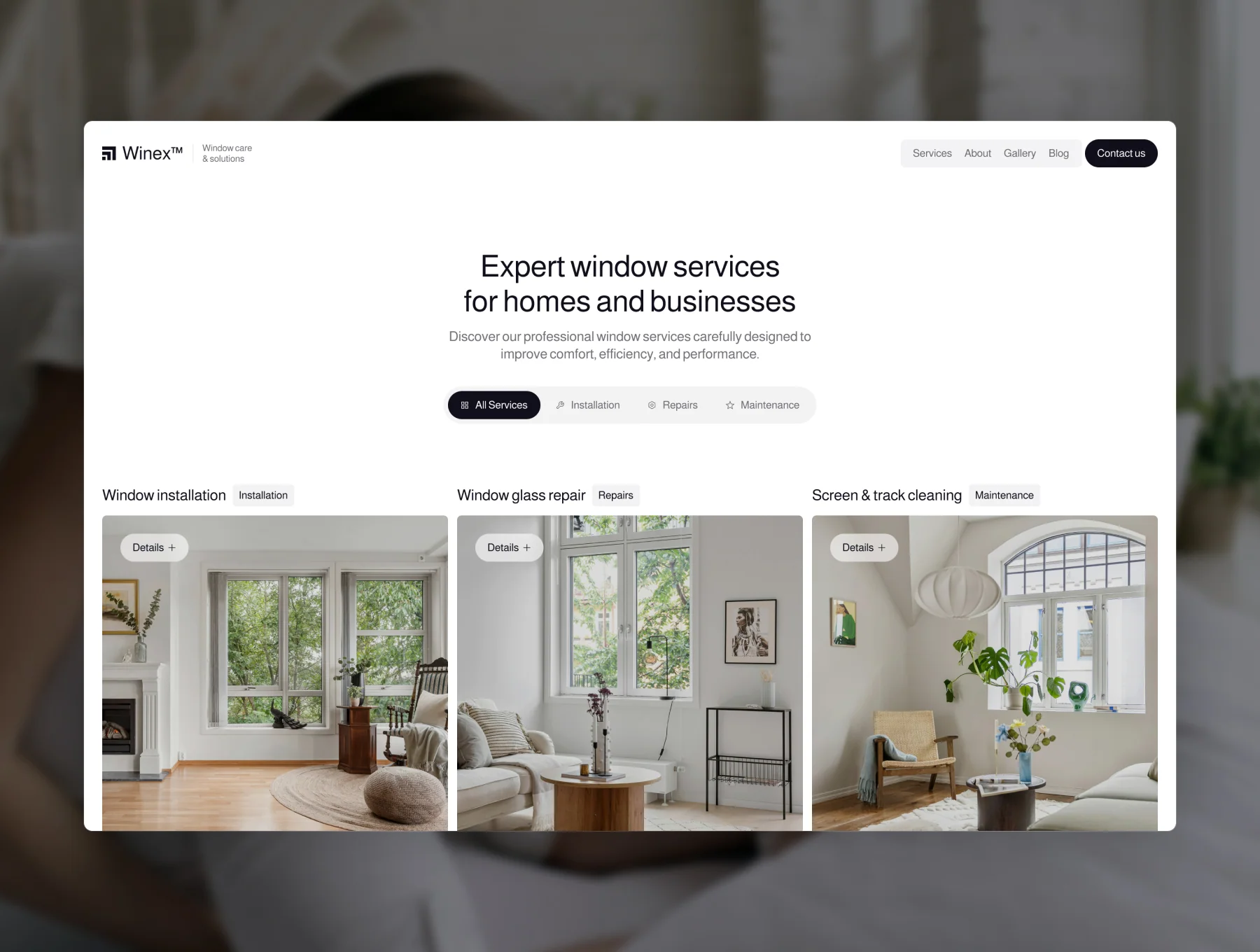 Winex – Window Services 2