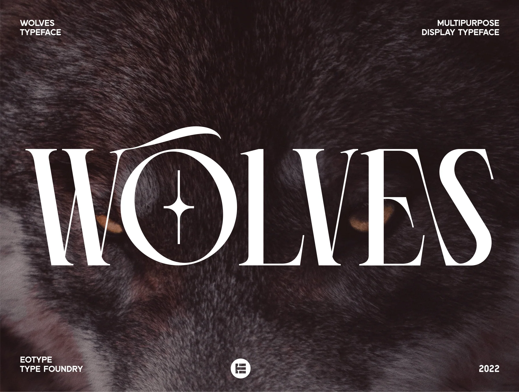 Wolves Dislay Typeface 12