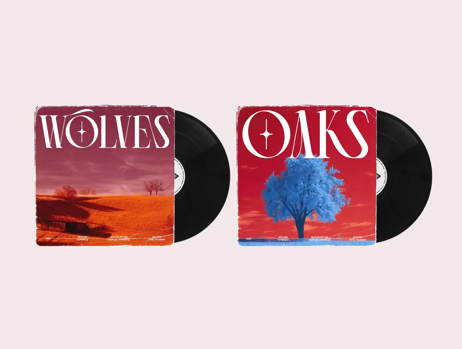 Wolves Dislay Typeface 2